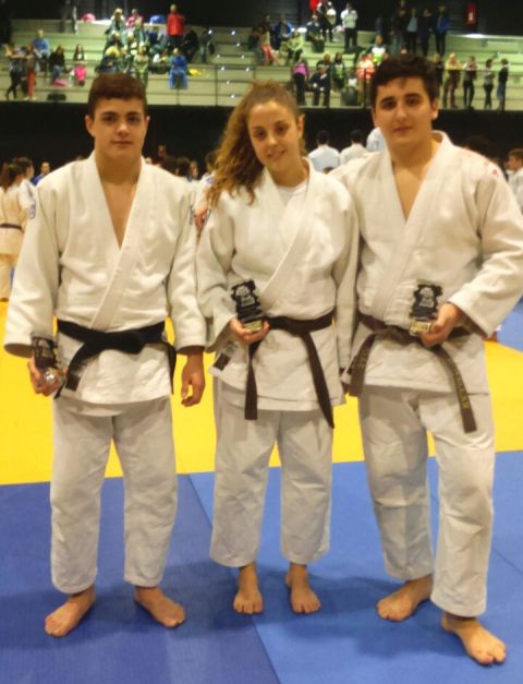 Sector Junior Judo 2015
